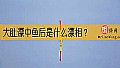 《大肚漂中鱼后是什么漂相？》封面图