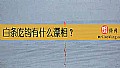 《白条吃钩有什么漂相？》封面图