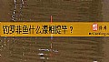 钓罗非鱼什么漂相提竿？