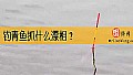 《钓青鱼抓什么漂相？》封面图