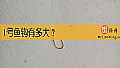 1号鱼钩有多大？