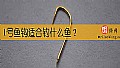《1号鱼钩适合钓什么鱼？》封面图