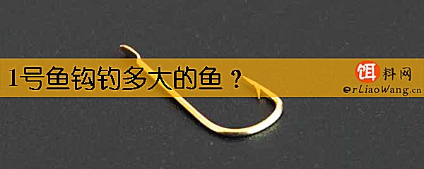1号鱼钩钓多大的鱼