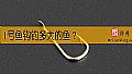 《1号鱼钩钓多大的鱼？》封面图
