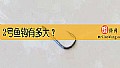《2号鱼钩有多大?》封面图