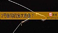 《2号鱼钩钓多大的鱼?》封面图