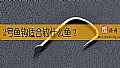 《2号鱼钩适合钓什么鱼?》封面图