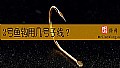 《2号鱼钩用几号子线?》封面图