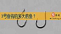 《3号鱼钩钓多大的鱼?》封面图
