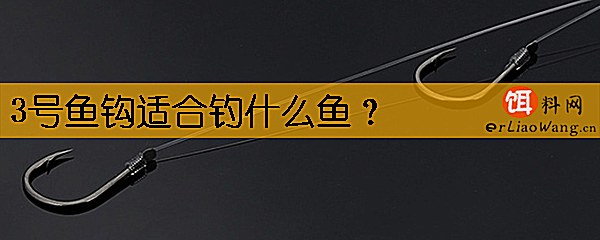 3号鱼钩适合钓什么鱼