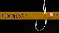 《4号鱼钩有多大？》封面图