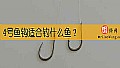 《4号鱼钩适合钓什么鱼？》封面图