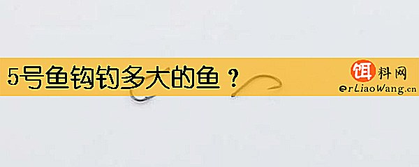 5号鱼钩钓多大的鱼