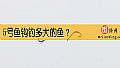 《5号鱼钩钓多大的鱼？》封面图
