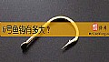 6号鱼钩有多大？