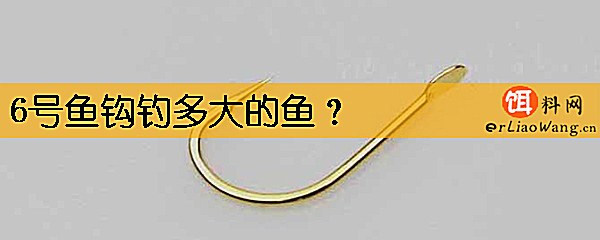 6号鱼钩钓多大的鱼