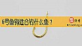 《6号鱼钩适合钓什么鱼？》封面图