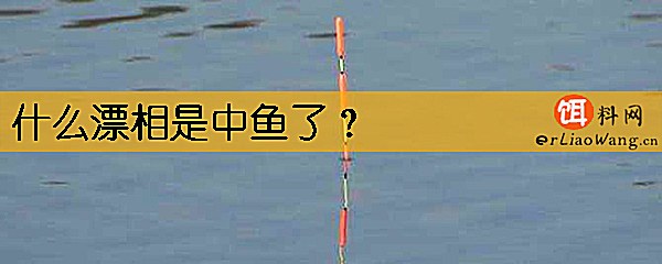 什么漂相是中鱼了