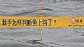 《新手怎样判断鱼上钩了？》封面图