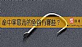 《命中率最高的鱼钩有哪些？》封面图