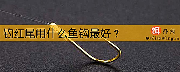 钓红尾用什么鱼钩最好