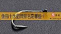 《鱼钩十大品牌排名是哪些？》封面图