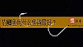 《钓鲫鱼用什么鱼钩最好？》封面图