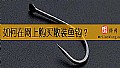《如何在网上购买散装鱼钩？》封面图