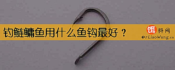 钓鲢鳙鱼用什么鱼钩最好