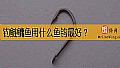 《钓鲢鳙鱼用什么鱼钩最好？》封面图