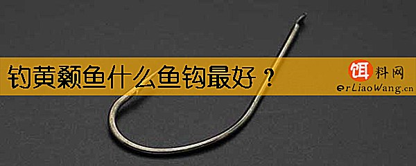 钓黄颡鱼什么鱼钩最好