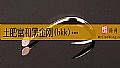 《土肥富和黑金刚(bkk)哪个好？》封面图