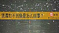 《黑漂打不到鱼是怎么回事？》封面图