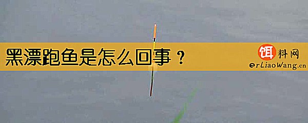 黑漂跑鱼是怎么回事