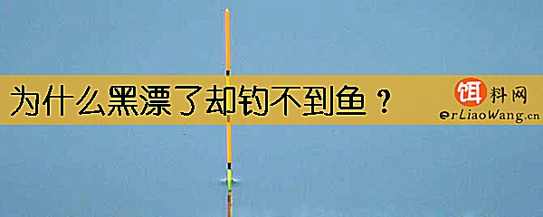 为什么黑漂了却钓不到鱼