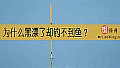 为什么黑漂了却钓不到鱼？