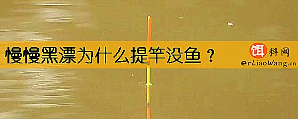 慢慢黑漂为什么提竿没鱼