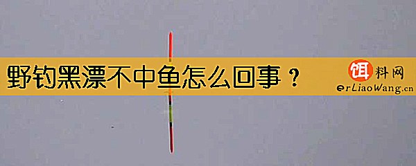 野钓黑漂不中鱼怎么回事