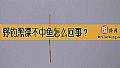 野钓黑漂不中鱼怎么回事？