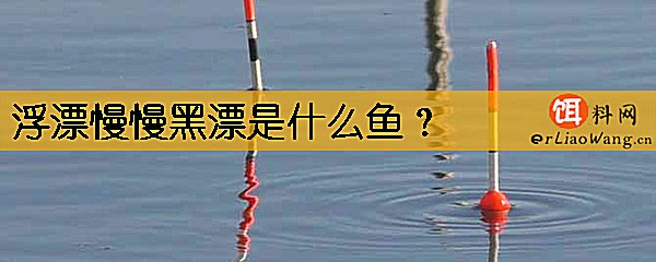 浮漂慢慢黑漂是什么鱼
