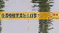 《鱼漂慢慢黑漂怎么回事？》封面图