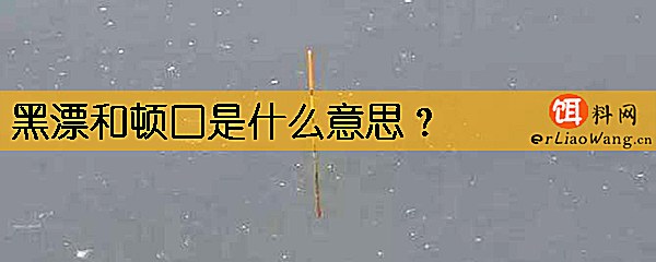 黑漂和顿口是什么意思