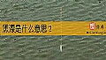 《黑漂是什么意思?》封面图