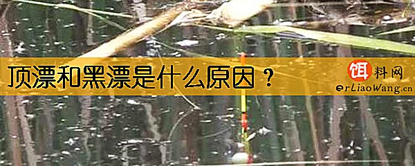 顶漂和黑漂是什么原因