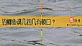 《钓鲫鱼调几钓几有顿口？》封面图
