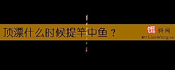顶漂什么时候提竿中鱼