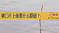 《顿口不上鱼是什么原因？》封面图