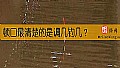 《顿口最清楚的是调几钓几？》封面图