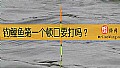 钓鲤鱼第一个顿口要打吗？