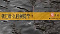 《顿口什么时候提竿？》封面图
